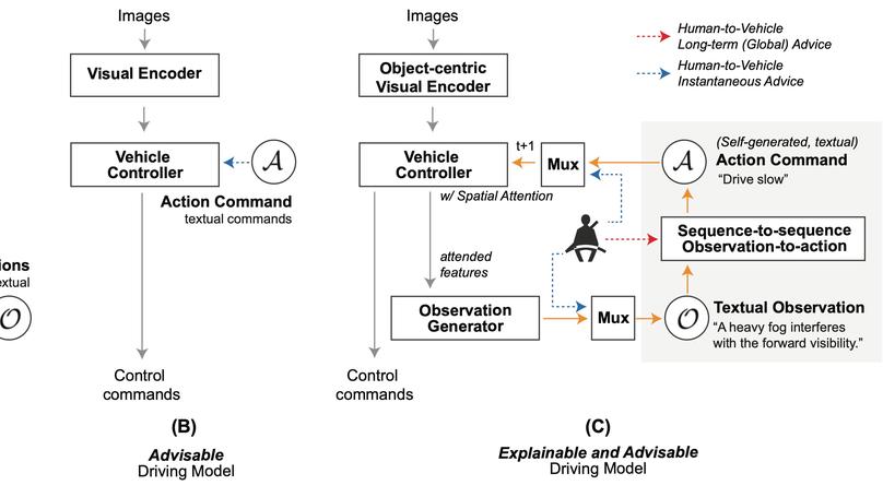 Towards Explainable and Advisable Model for Self-driving Cars